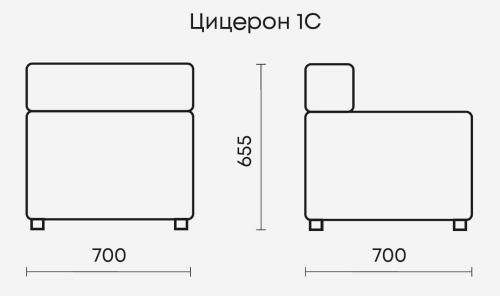 Секция Цицерон 1С